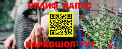 PSILOCYBIN Кунгур