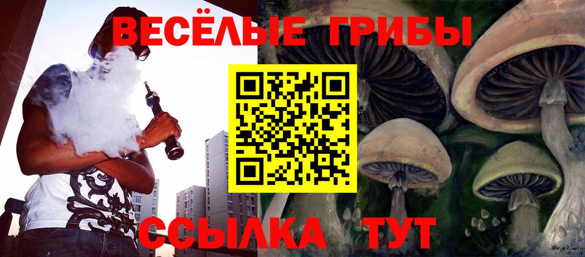 Ейск  Галлюциногенные грибы ЛСД  Вход с VPN 