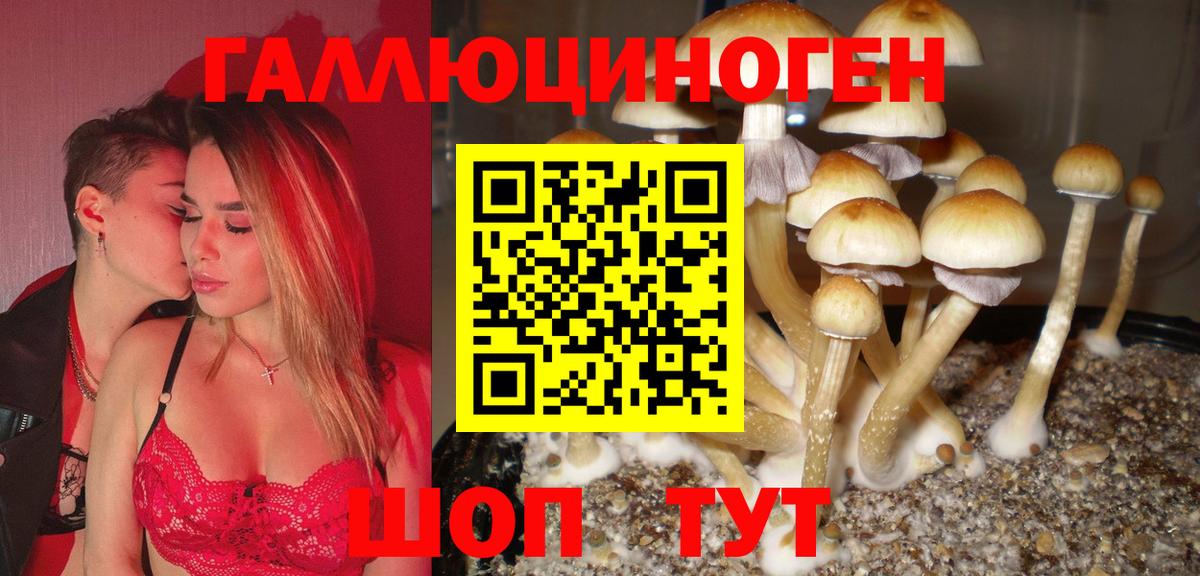 Галлюциногенные грибы мицелий Ейск